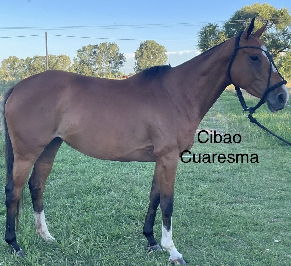 Cibao Cuaresma